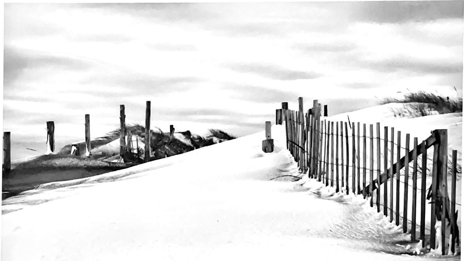 Dune path, Cape Cod, photograph by L.C. Schiffenhaus